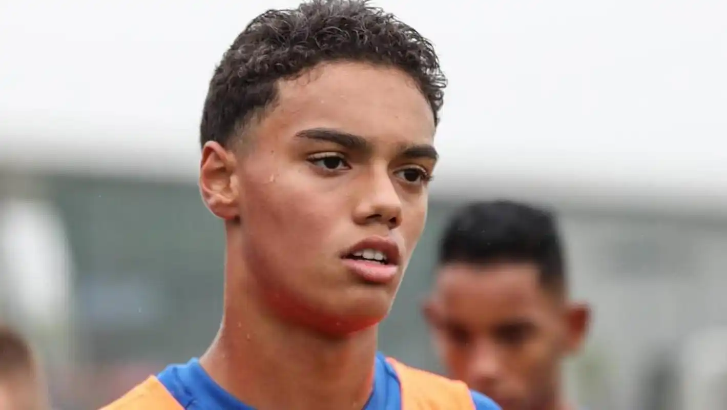 但小蜘蛛及 但小蜘蛛及