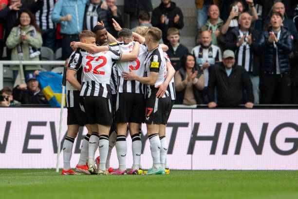 他们与米雷 他们与米雷